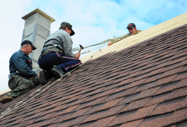 Best Roof Repair Services  in Harrisburg, IL